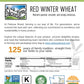 Hard Red Winter Wheat Berries | 15 Lbs | 3 Pack | Family Farmed In Washington State | Non-Gmo Project Verified | Kosher
