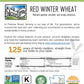Hard Red Winter Wheat Berries | 25 Lbs | Emergency Food Storage Bucket | Non-Gmo | Grown On Our Family Farm | Bulk