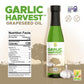 Garlic Harvest Grapeseed Oil 12.7 Oz (High Smoke Point, Gluten-Free, Non-Gmo, Healthy Evo Alternative)