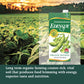 Eden Edensoy Unsweetened Organic Soymilk, Non-GMO, Vegan, 32 Fl Oz (6-Pack)