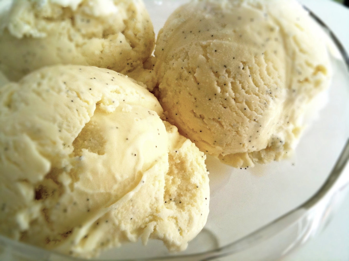 Vanilla Bean Paste for Baking and Cooking - Made With Whole Vanilla Beans - 8 Ounces by Weight