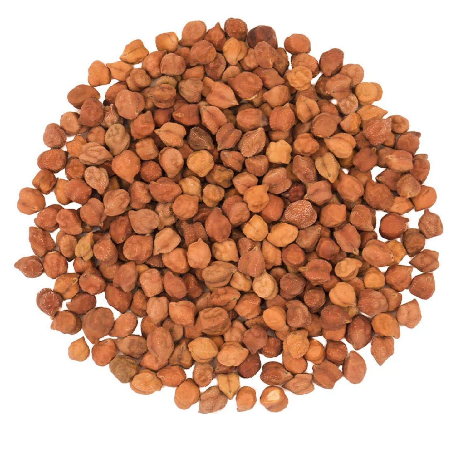 Rani Kala Chana (Desi Chickpeas Chana With Skin) 64Oz (4Lbs) 1.81Kg Bulk ~ All Natural | Gluten Friendly | Non-Gmo | Kosher | Vegan | Indian Origin