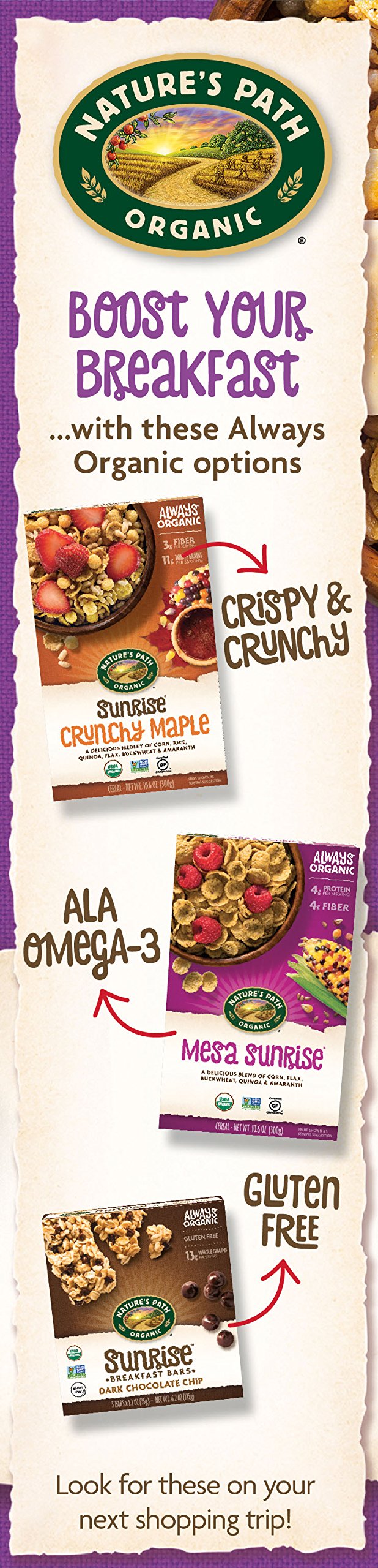Nature'S Path, Organic Gluten-Free Crunchy Vanilla Cereal, 10.6 Oz