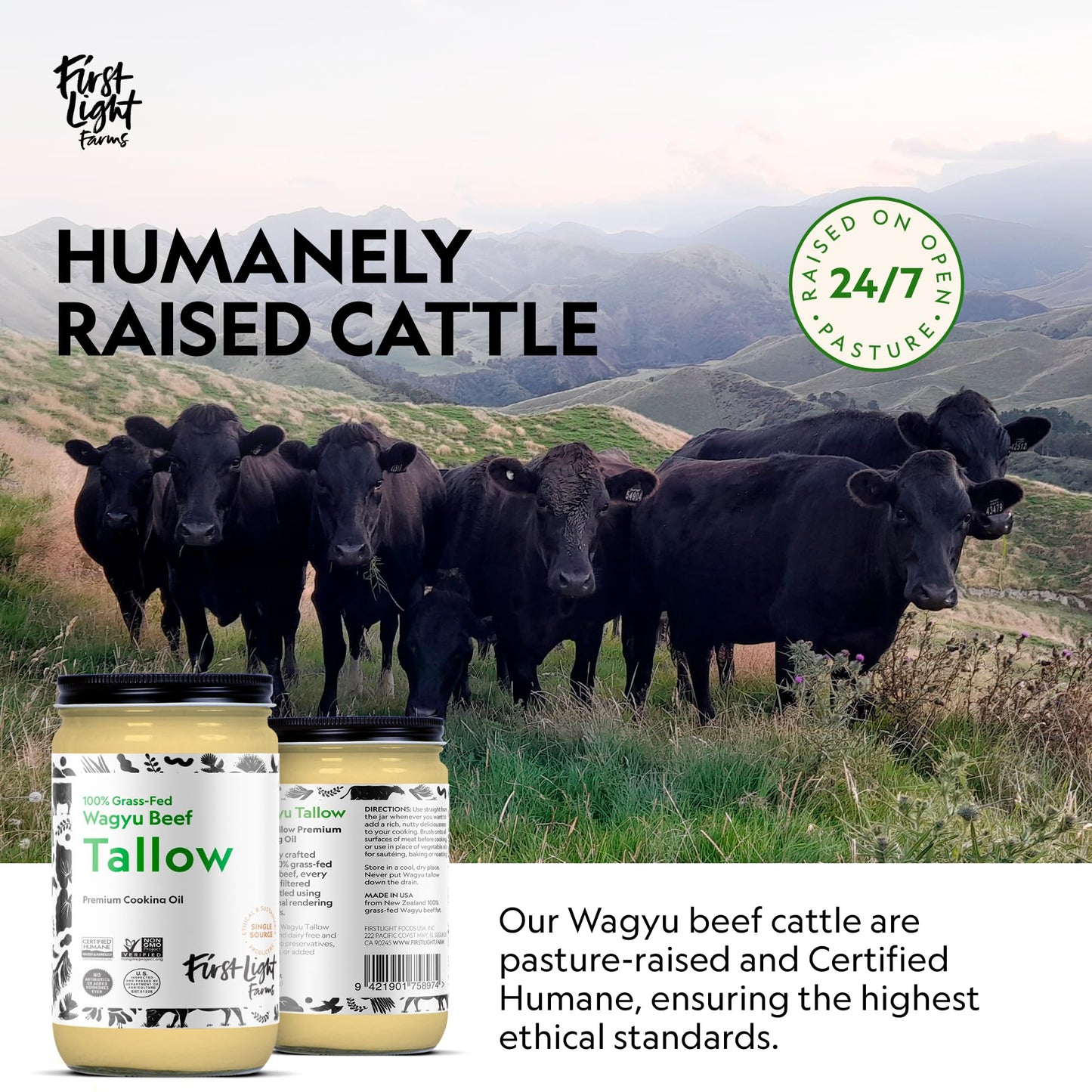 First Light Wagyu Beef Tallow | 100% Grass-Fed, 14oz Glass Jar | Gluten-Free, Dairy-Free, Perfect for Keto & Whole30