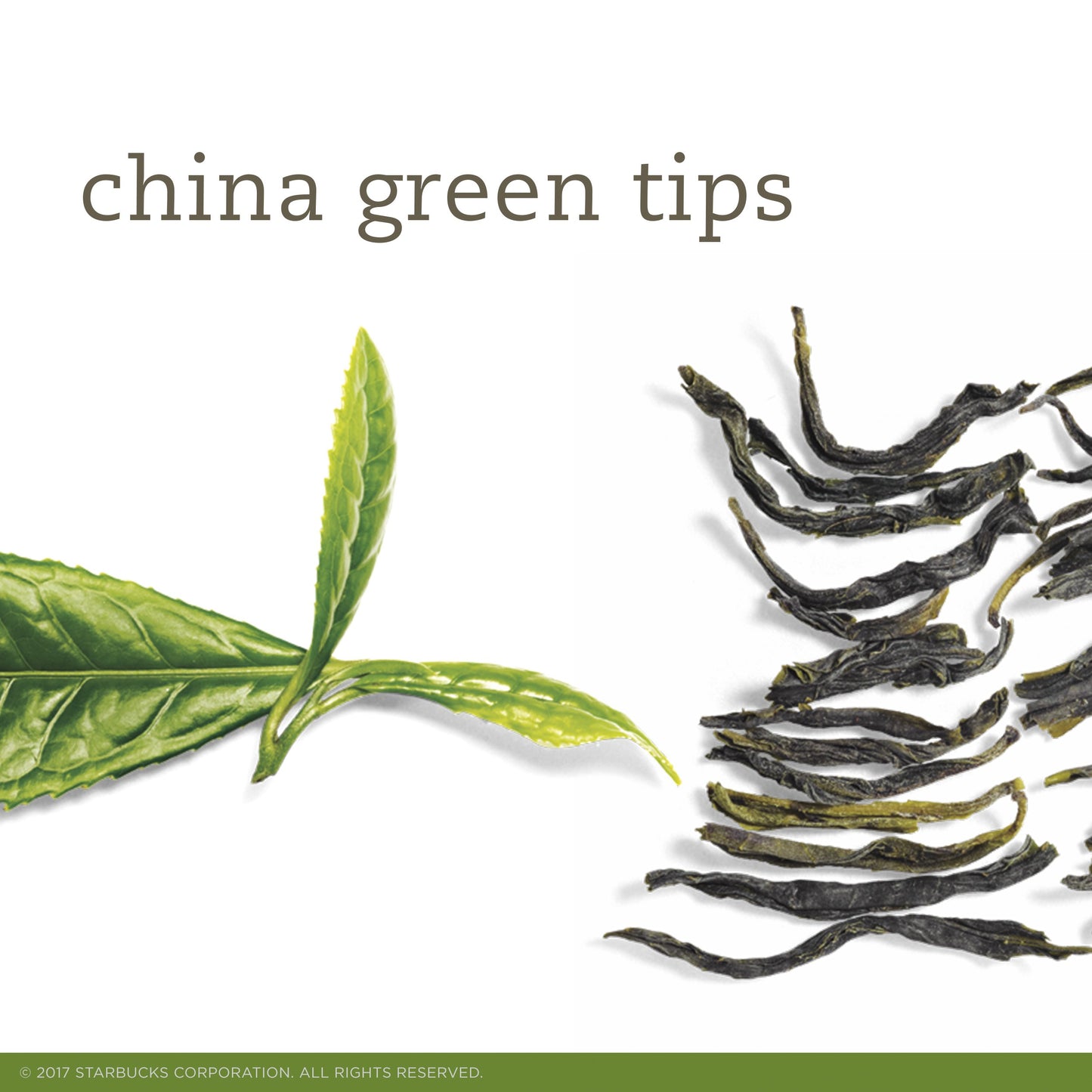 Tazo Tea Bag For A Warm Beverage China Green Tips Renew With Fresh-Tasting, Spring-Harvested Green Teas From China 20 Ct