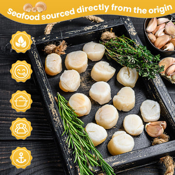 Oceanzen:Premium Frozen Seafood Premium 10 To 20 Count Per Pound Dry Sea Scallops(7 Lb)