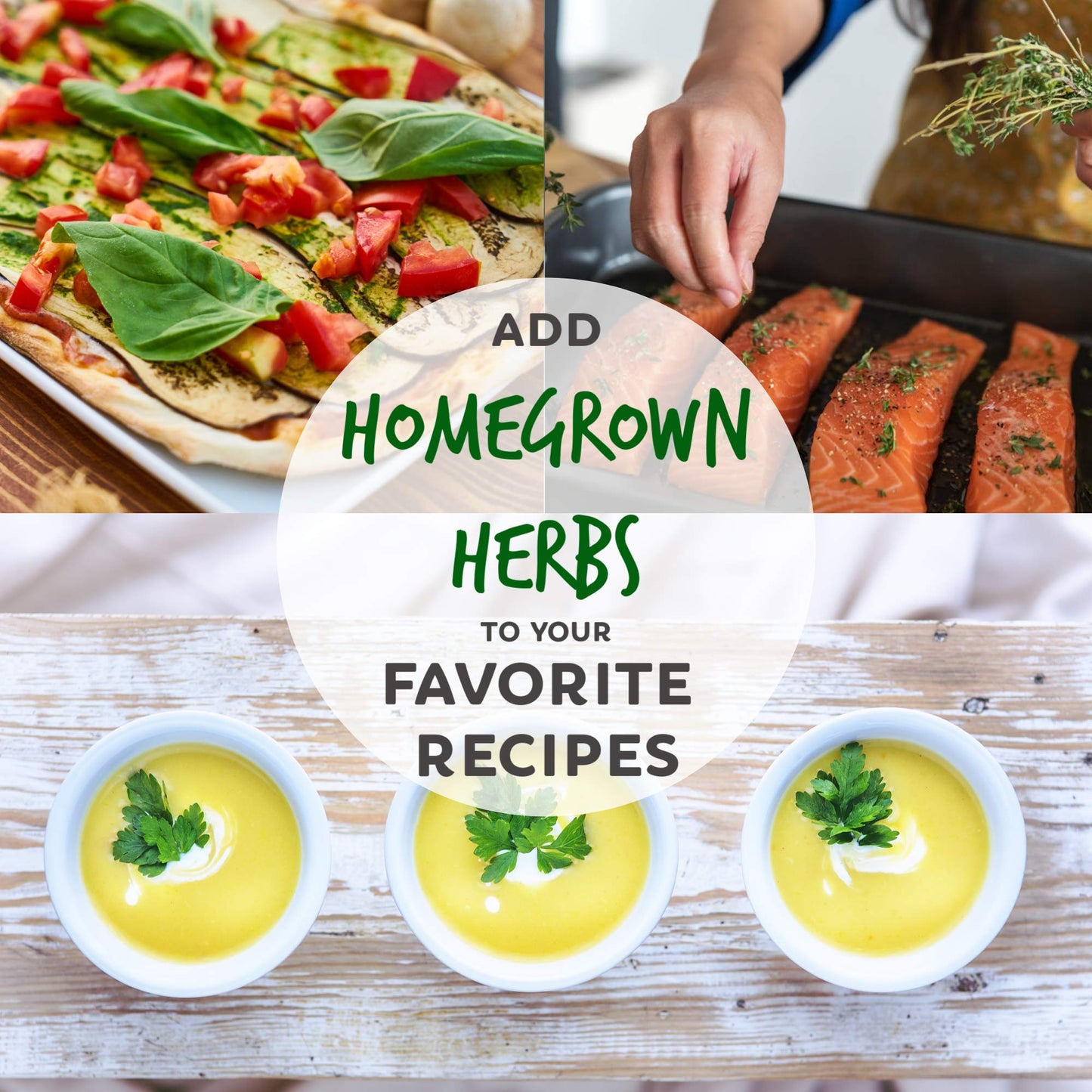 Culinary Herb Seeds Garden Collection | Premium Assortment | 18 Non-Gmo Seed Packets: Savory, Mint, Anise, Fennel, Cilantro, Sag