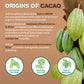 NaturaleBio Organic Raw Cacao Nibs 1 lb. Natural and Pure. Made in Tropical Regions from The Theobroma Cacao Plant. Source of Ma