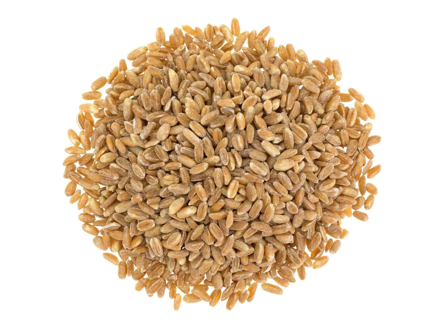 Food to Live Organic Italian Pearled Farro, 10 Pounds - Whole Farro Grain, Good Source of Fiber and Protein, Great for Salads, S