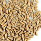 Organic Spelt: 1 Lbs - Non-GMO Grain Seeds - Flour, Bread, Baking, Cooking, Food Storage, Sprouting, Spelt Grass