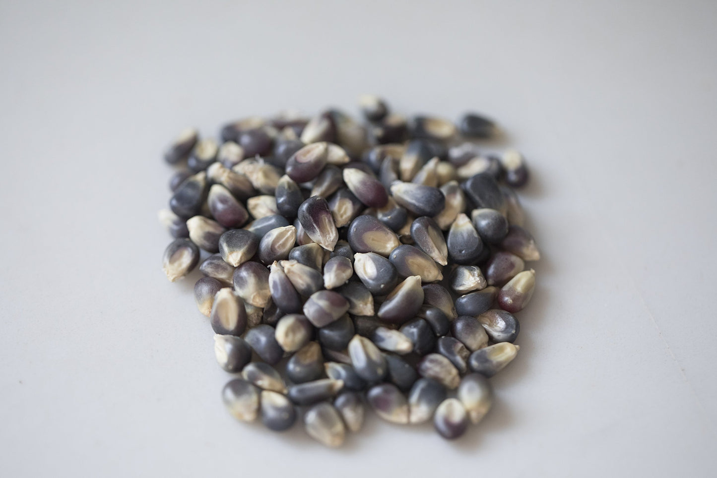 Amish Country Popcorn | 2-2 Lb Bags - Midnight Blue Kernels | Old Fashioned, Non-GMO and Gluten Free (2-2lb Bags)
