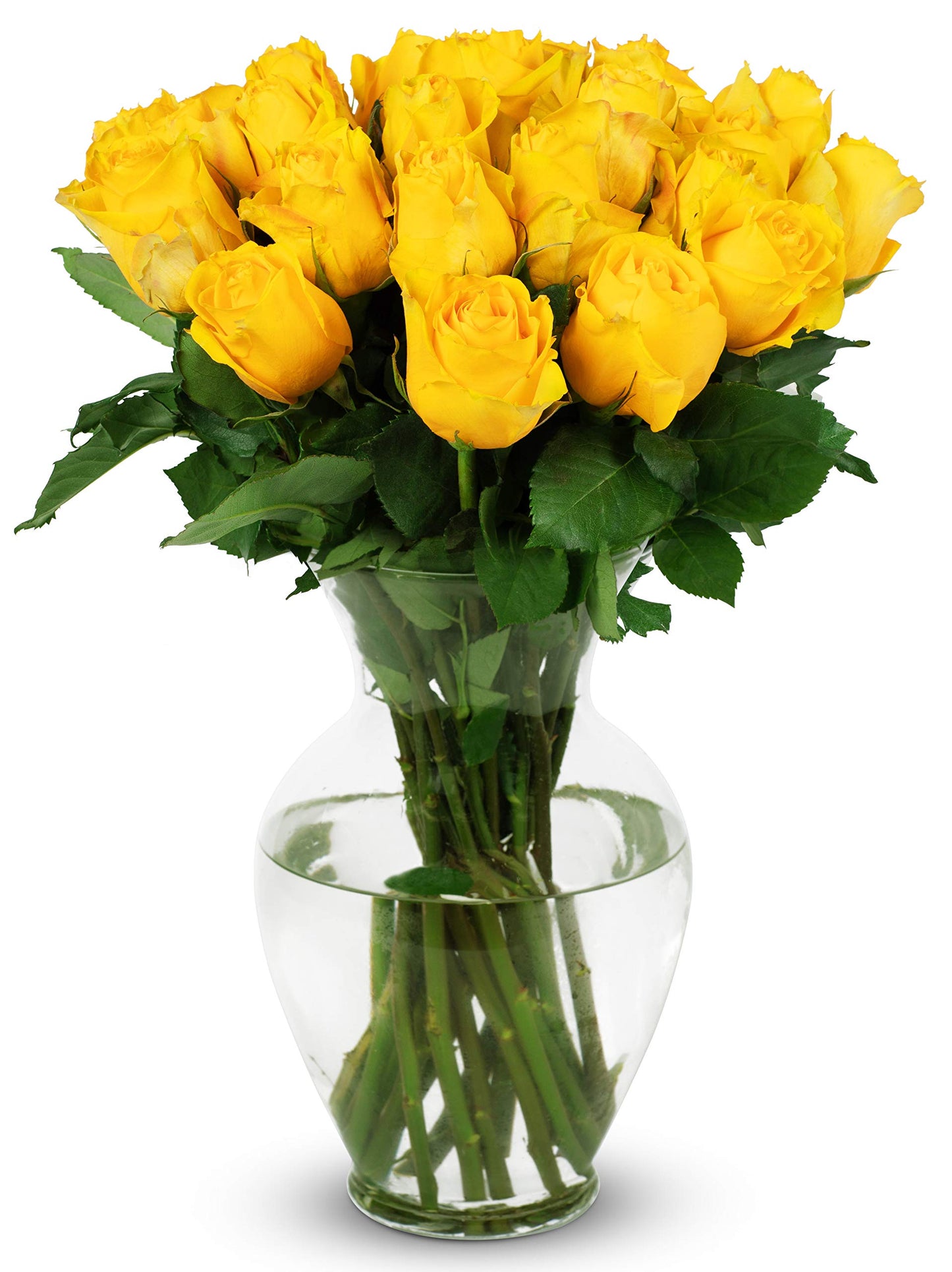Benchmark Bouquets - 24 Stem Premium Yellow Roses (Glass Vase Included) - Fresh Flowers for Delivery - Gift for Graduation, Birt