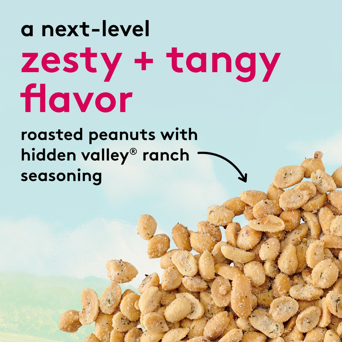 Snak Club Peanuts with Hidden Valley Ranch Seasoning, Gluten-Free Snack, 11 oz Resealable Bag