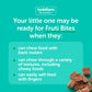 Beech-Nut Toddler Snacks Fruti Bites With Hidden Veggies Quinoa & Chia, Fruit Snack Variety Pack For Babies And Toddlers, 6 Boxe