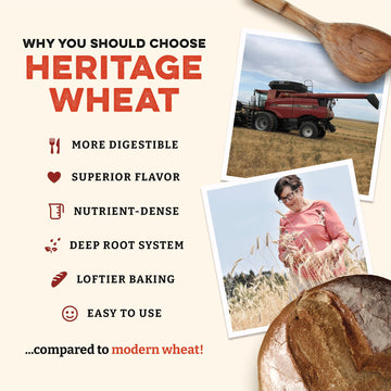 Sunrise Flour Mill Organic Hard Red Wheat Berries, Non-GMO, Vegan, 25 LB (400 Ounce)