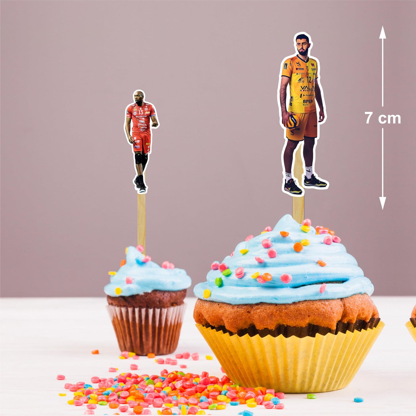 Seyal Volleyball Cupcake Topper