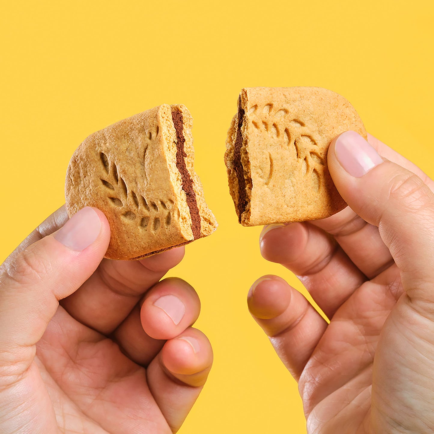 belVita Sandwich Dark chocolate creme Breakfast Biscuits 12 Packs (2 Sandwiches Per Pack)