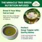 Organic Veda Moringa Tea Leaves - 100% Organic Dried Leaves - Moringa Oleifera Loose Leaf For Herbal Tea - Antioxidants Rich, Naturally Boosts Energy, Supports Digestion & Immune System - 7Oz