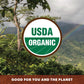 Java Planet - Cinnamon And Vanilla Organic Coffee Beans Infused With Organic Flavoring, Fair Trade, Medium Dark Roast, Arabica G