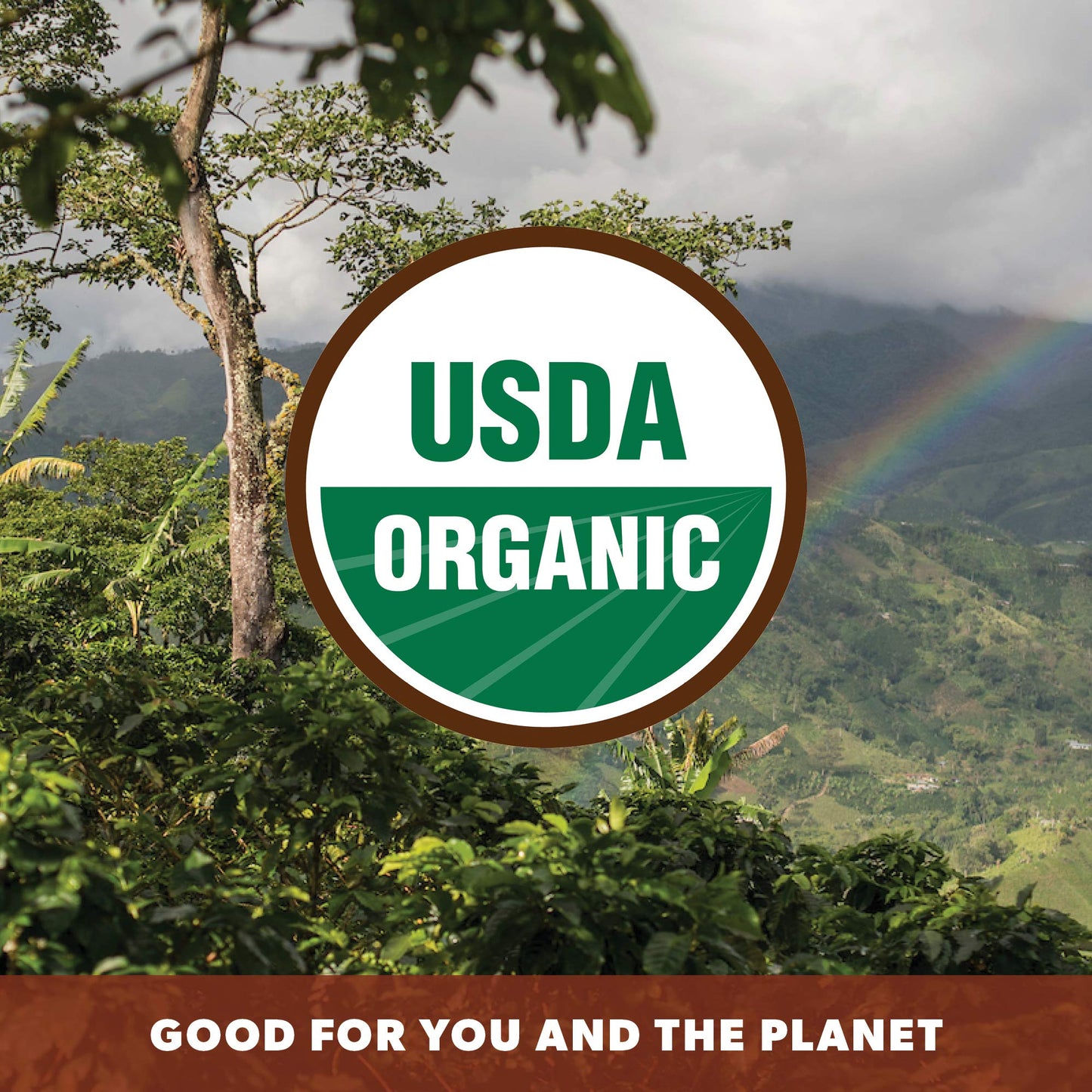 Java Planet - Coconut And Hazelnut Flavored Organic Coffee Beans Infused With Organic Flavoring, Fair Trade, Medium Dark Roast,