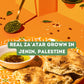 Za'atar by Z&Z | Za'atar Spice Blend with Zaatar Spice, Sumac, & Toasted Sesame Seeds | Za'atar Seasoning for Breads, Salads, Ch