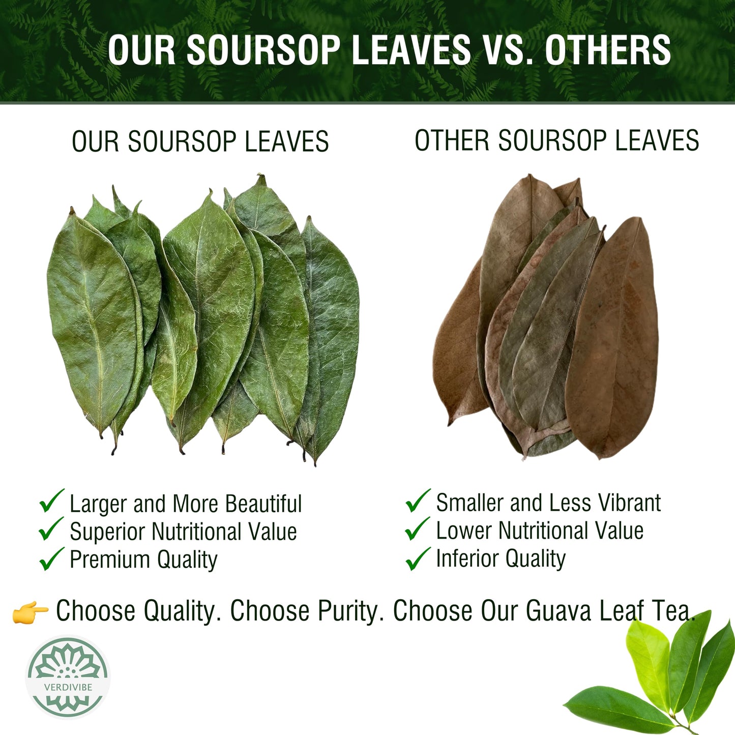 VERDIVIBE Soursop Leaf Tea - Caffeine-Free Herbal Drink, 45 Tea Bags, Non-GMO, Gluten-Free