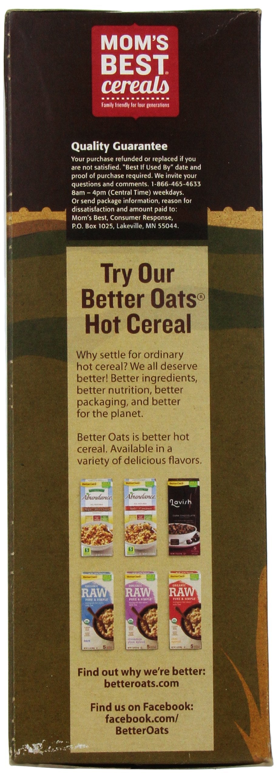 Mom's Best Cereal-Toasty O's Honey Nut, 20-Ounce (Pack of 5)