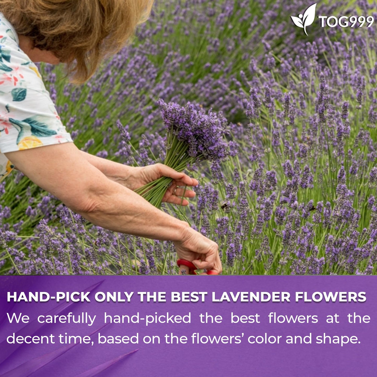 TOG999 Lavender Flower Tea Bags, 100% Natural Herbal Tea, 60 Bags, Caffeine-Free, Vegan