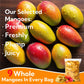 Generic Freeze Dried Mango Snacks, No Sugar Added, Natural Dehydrated Fruit, 5.6oz/160g, Model 0M-PPP2-YEI2