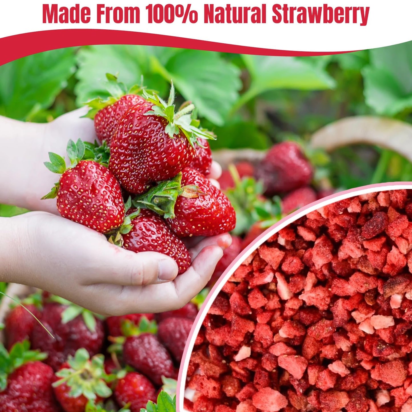 Premium Freeze Dried Strawberries Pieces - 8.82Oz 100% Natural Sweet Frozen Strawberrys, No Gluten & No Allergen, Dry Strawberry