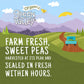 Green Valley Organics Peas | Certified Organic | Deliciously Succulent, Creamy Sweet | 15 Oz Can (Pack Of 4)