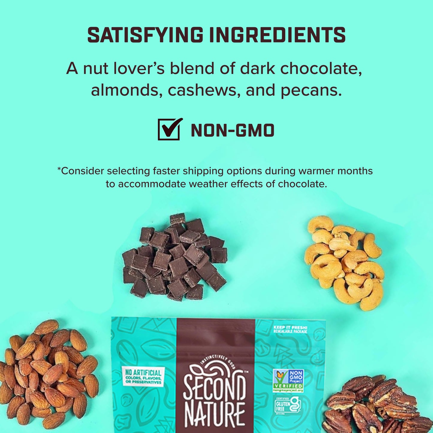 Second Nature Dark Chocolate Medley Trail Mix, Gluten-Free, 12 oz Resealable Pouch, Pack of 1, Turquoise, Model 1149-EA