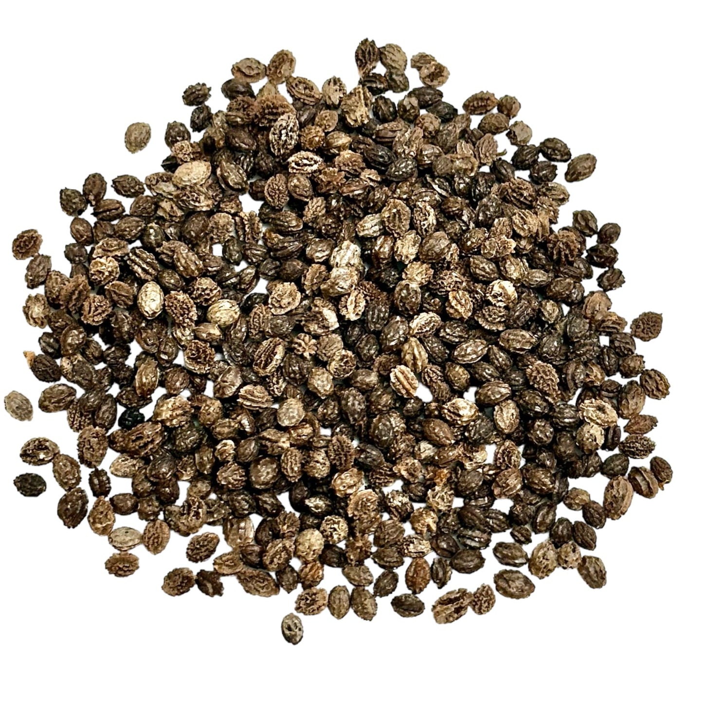 Papaya Seeds, Dried Whole Seeds, 1 Oz (28 G), Raw, Natural (1 Ounce (28 Grams))