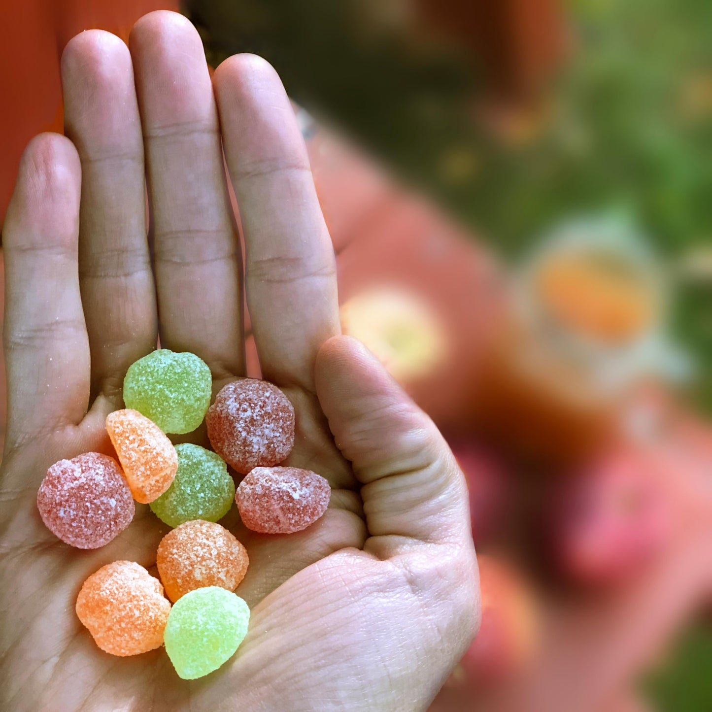 Sour Patch Kids Soft & Chewy Candy, Apple Harvest, 10 Ounce (Pack of 6), Green/Orange/Red