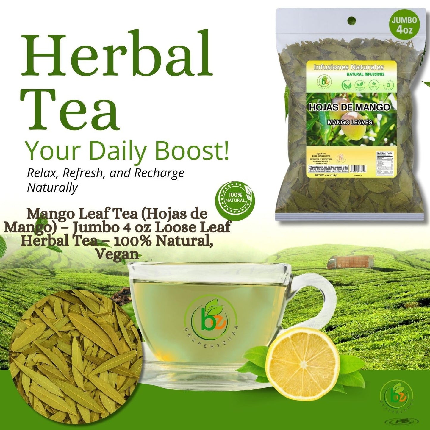Mango Dried Leaf Tea (Hojas de Mango secas) - Jumbo 4 oz Loose Leaf Herbal Tea - 100% Natural  Vegan  Non-GMO  Caffeine-Free - Traditional Herbal Infusion for Wellness & Relaxation - by BexpertsUSA