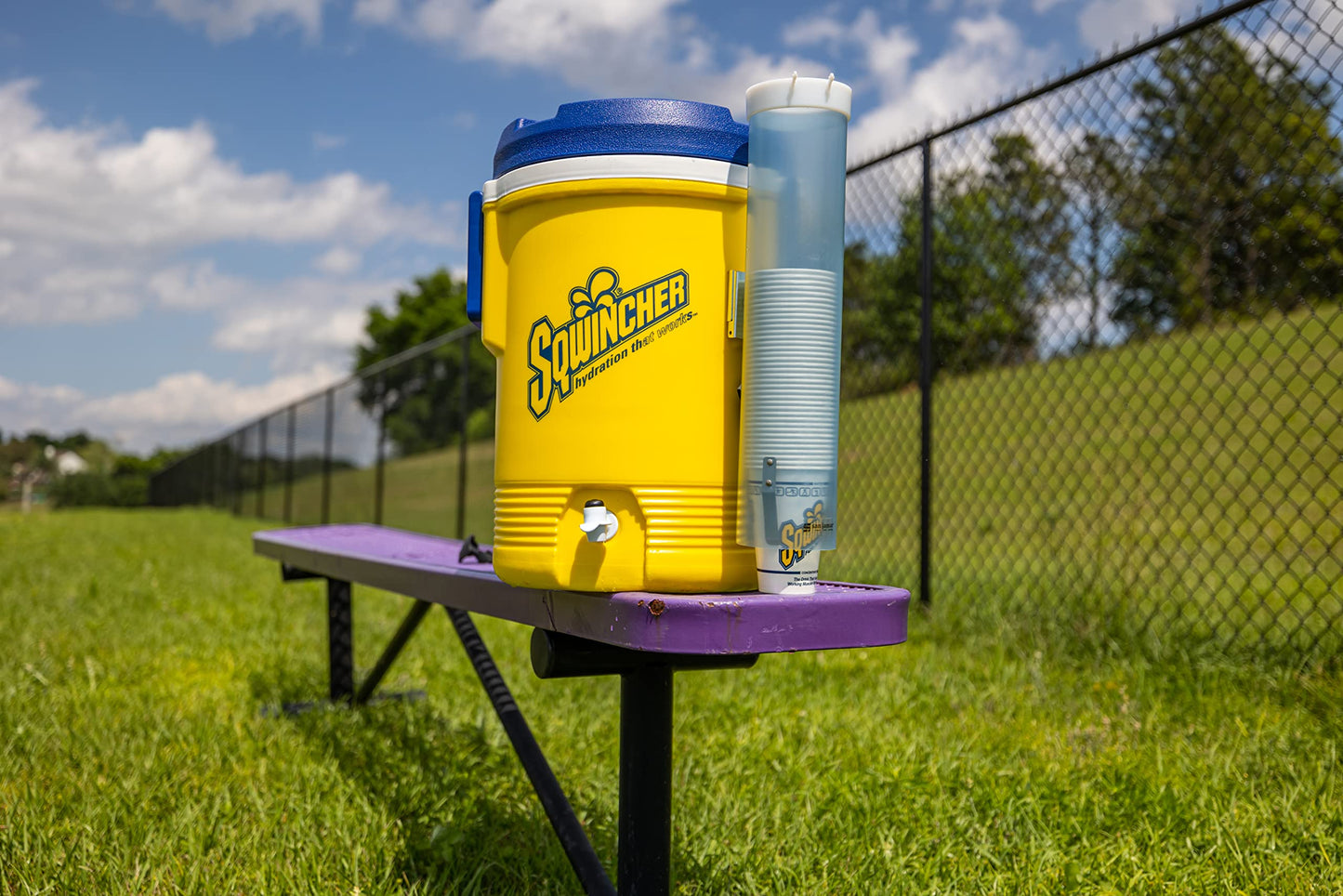 Sqwincher Powder Pack | Cool Citrus Flavored | Low Calorie | Low Sodium | Electrolyte Replenishment Hydration Drink Mix | Just A