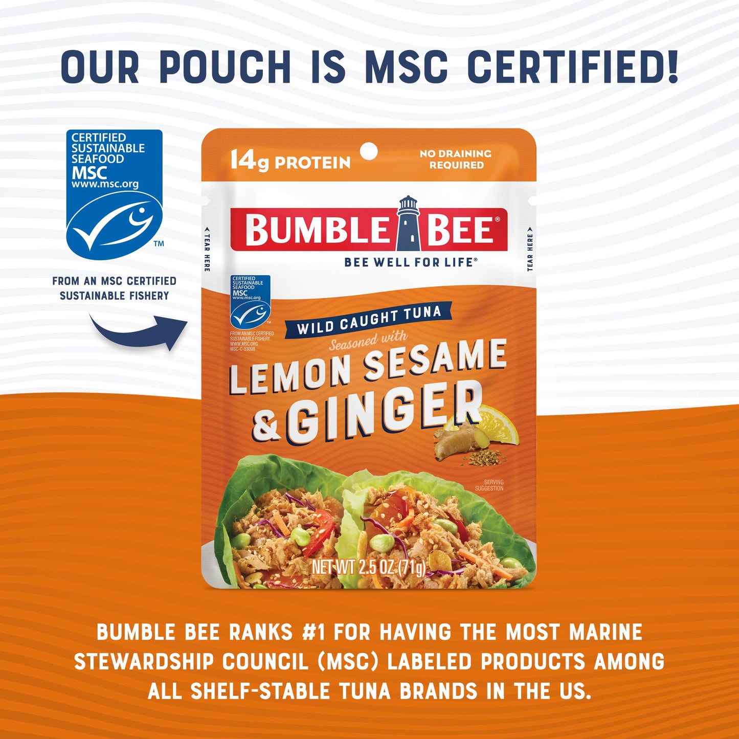 Bumble Bee Lemon Sesame & Ginger Seasoned Tuna, 2.5 Oz Pouch - Ready To Eat - Wild Caught Tuna Packet - 14G Protein Per Serving
