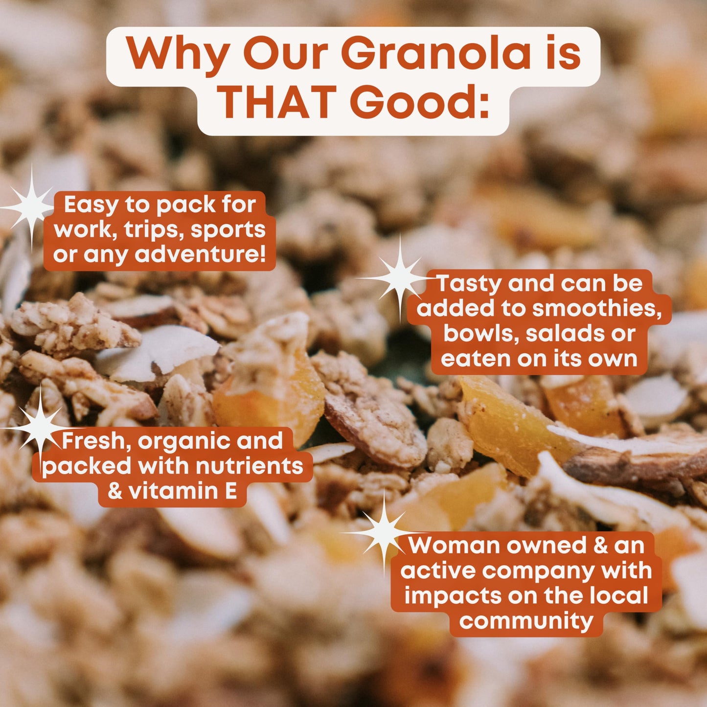 Tempo Granola Apricot Coconut Almond Granola Clusters (6 Pack) Gluten Free Oats, High Protein, Low Sugar, Vegan, Dairy Free, Soy