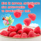 Freeze Dried Raspberry Pieces, 3.53 oz Crunchy Raspberries Crumbles, No Sugar Added Gluten-Free Raspberries Baking Chips, Dried