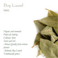 Bay Leaf Organic Herb Laurel - Whole Culinary Quality Leaf - Bay Leaves Organic Bay Leaves Whole Bay Laurel Leaves Bay Leaves Dr