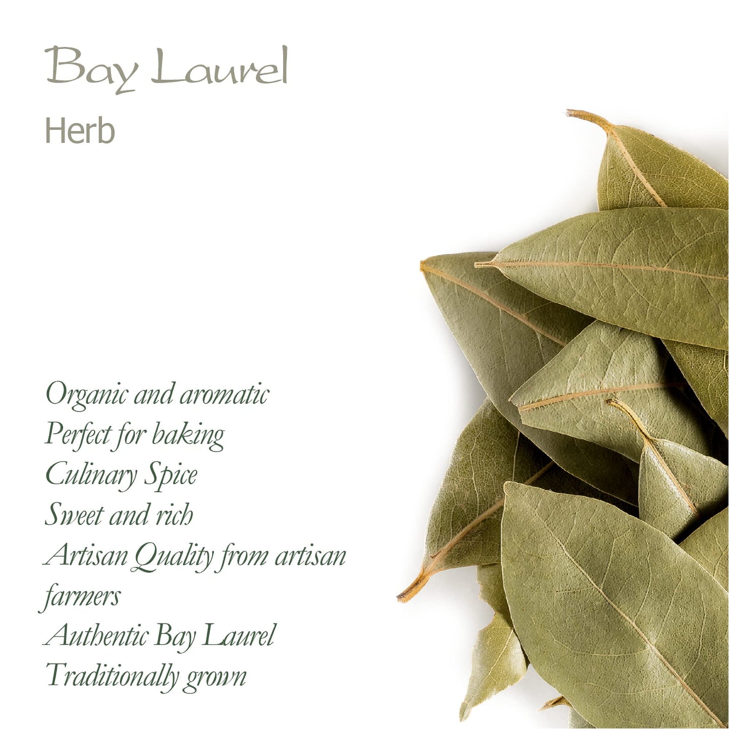 Bay Leaf Organic Herb Laurel - Whole Culinary Quality Leaf - Bay Leaves Organic Bay Leaves Whole Bay Laurel Leaves Bay Leaves Dr