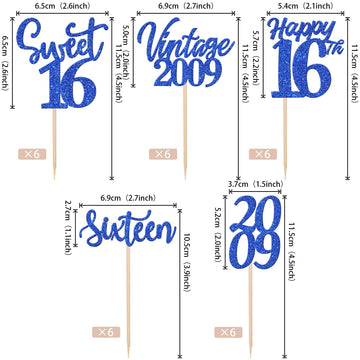 30Pcs Happy 16Th Birthday Cupcake Toppers Cheers To 16 Vintage 2009 Cupcake Picks Sweet 16 Sixteen 16Th Birthday Decorations For