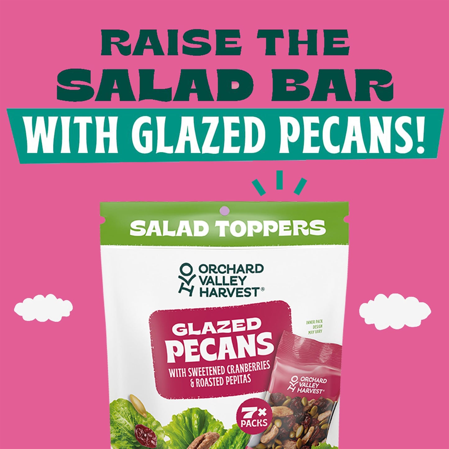 Orchard Valley Harvest Salad Toppers Glazed Pecans with Sweetened Cranberries & Roasted Pepitas, 0.85 oz (Pack of 7) Resealable
