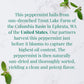 The Republic of Tea Organic Peppermint Herbal Tea - 36 Tea Bags, 1 Count