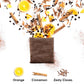50 Premium Decaf Coffee Bags By Dualit - Compostable Coffee Bag With Recyclable Sachet For Easy, Mess Free Coffee On The Go - In