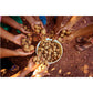 South 40 Snacks Dry Roasted Salted Baru Nuts, Just 2 Ingredients (6.5Oz Bags, Pack Of 4)