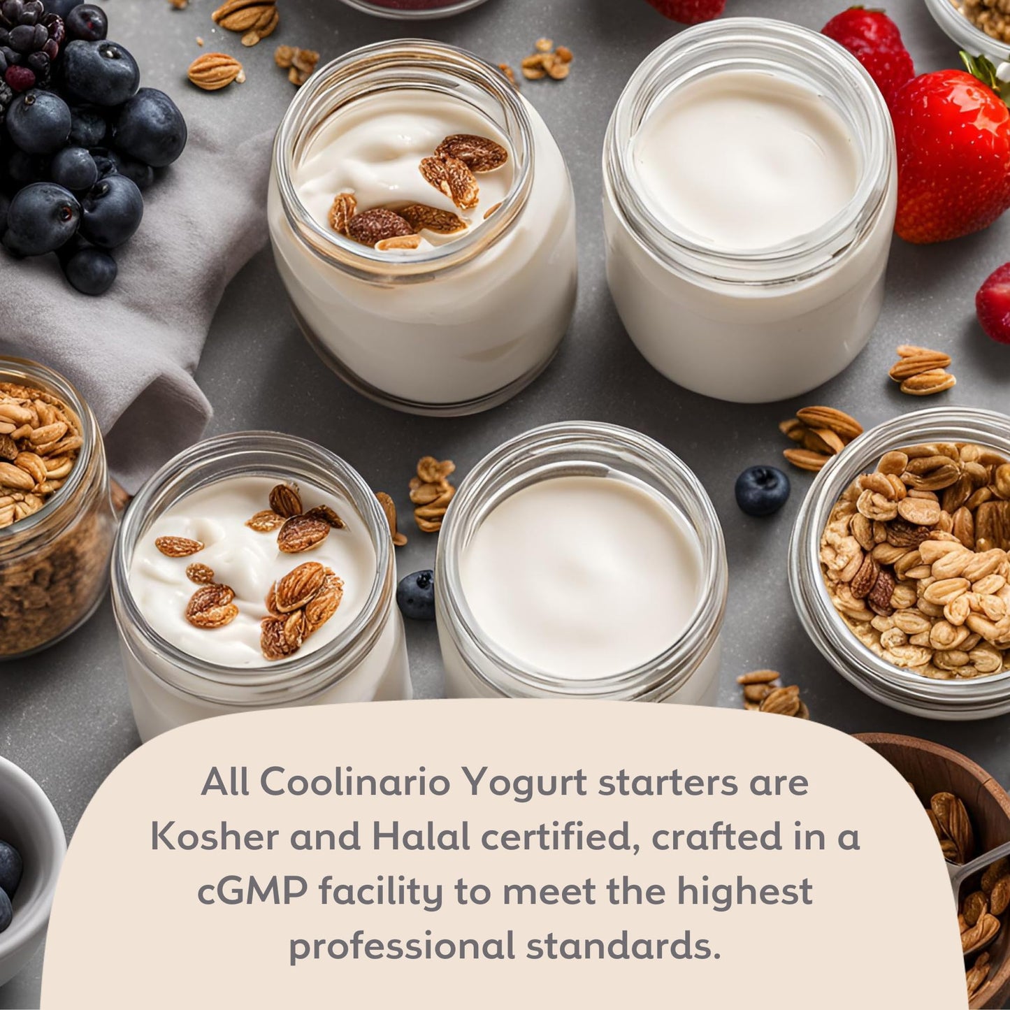 Coolinario Yogurt Starter Culture - 5 Pack, Live Cultures for Homemade Yogurt, Gluten Free, Non-GMO, Halal & Kosher