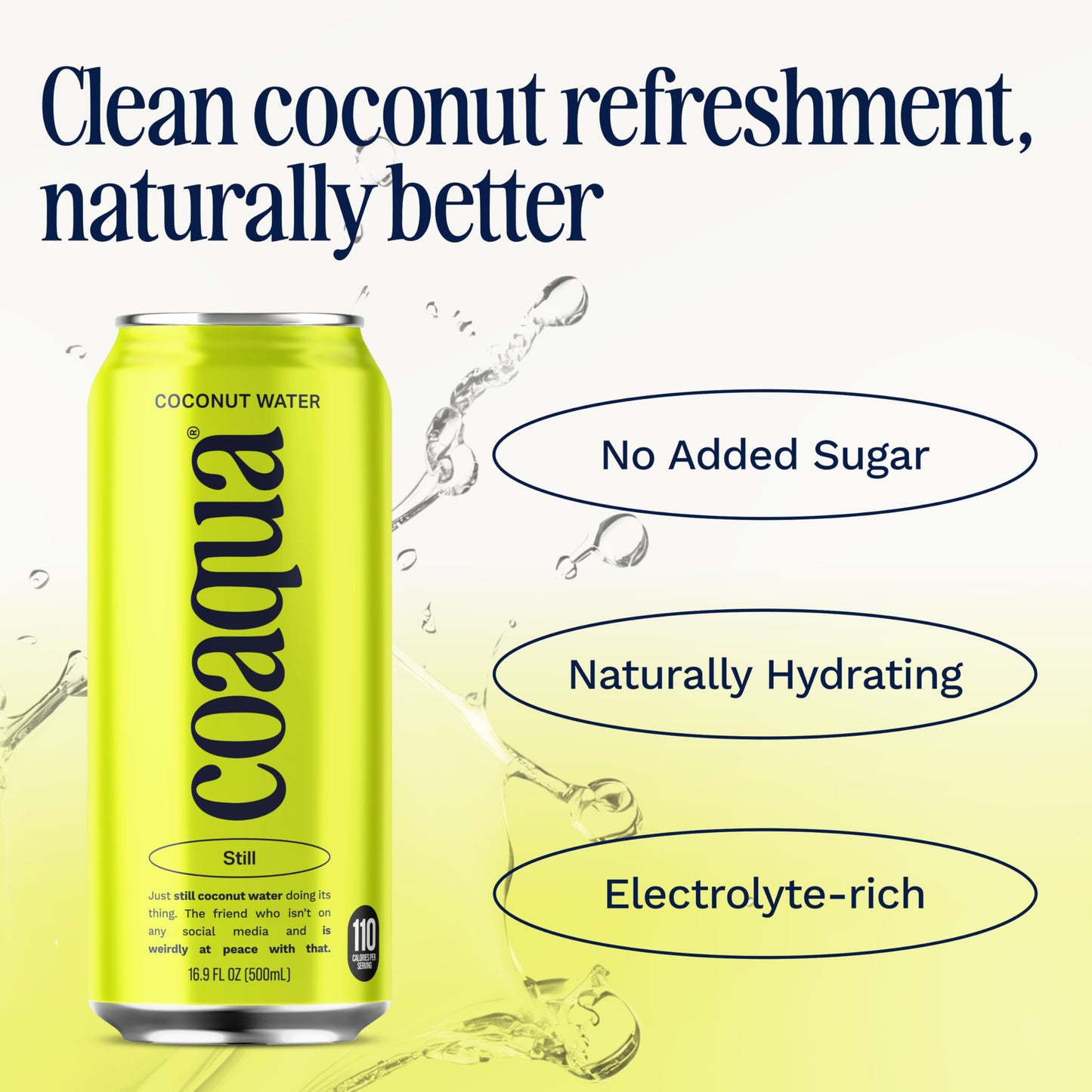 CoAqua Coconut Water - Natural Electrolyte Drink, 12 Pack, 16.9 Fl Oz Cans, Pure & Fat Free, Hydration Boost