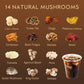 QIN SHAN TANG Decaf Mushroom Instant Coffee, 14 Mushrooms, 4.25 Oz, Energy Focus Immunity, 40 Servings