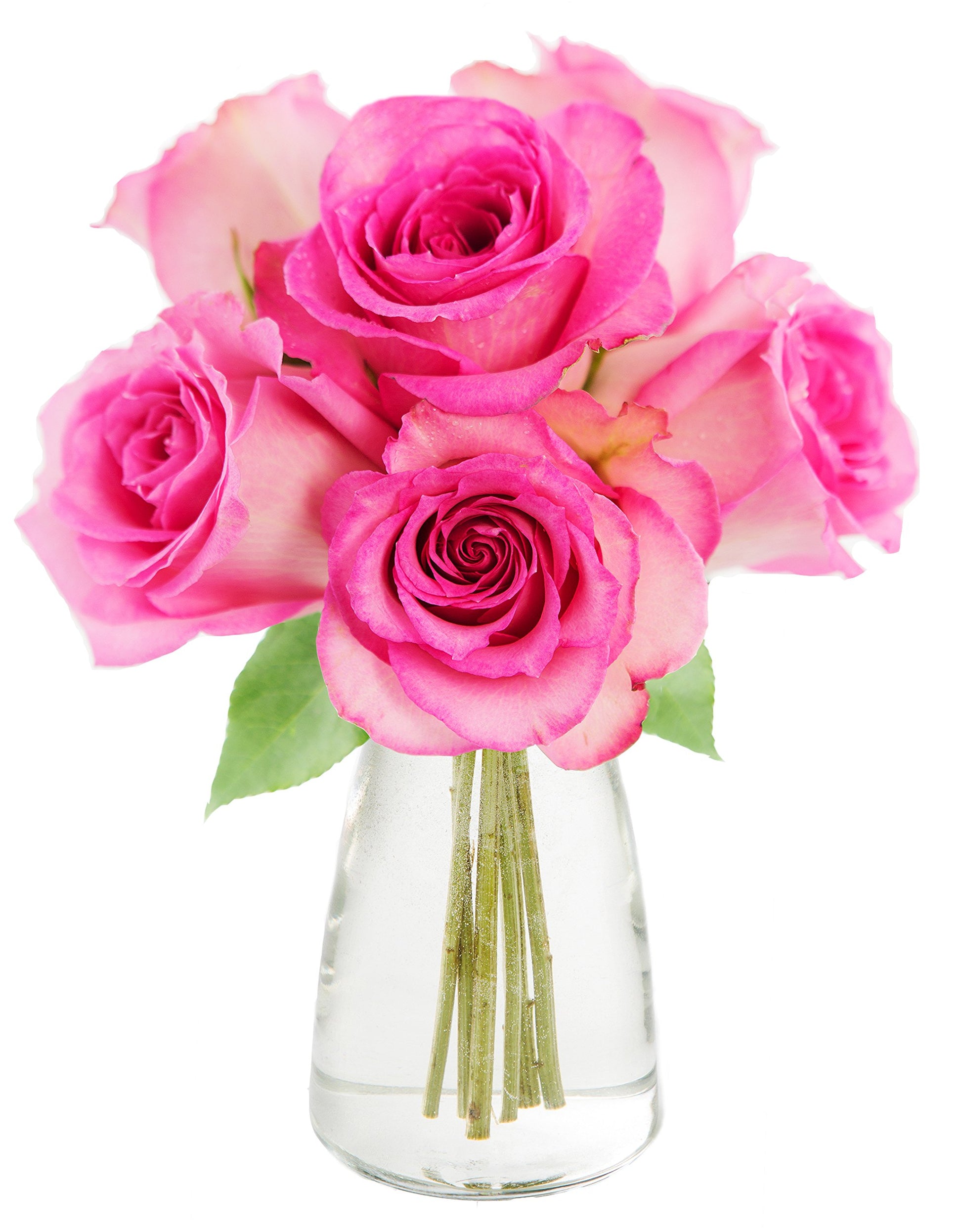 KaBloom Flowers - Mother's Day Collection - Sweet as Can Be Pink Roses (Half Dozen) - With Vase|Gift for Birthday, Anniversary, 